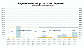 A chart showing projected revenue growth and expenses for a business loan application.