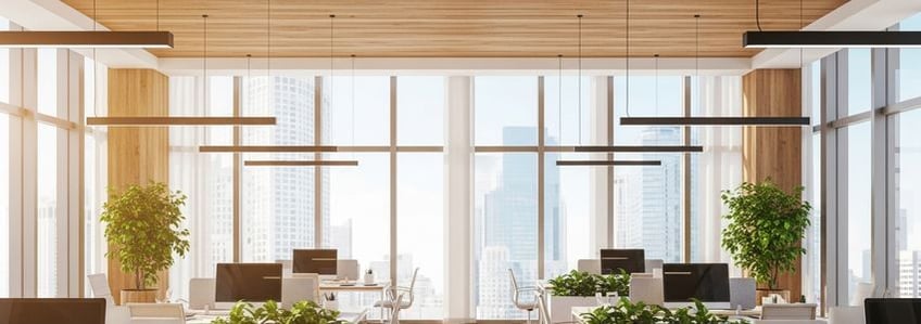 Collateral-Free Business Loan Options: The Complete Guide for Business Owners