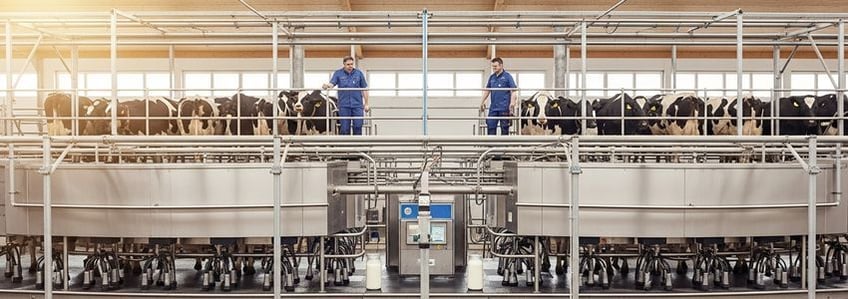Dairy Farm Equipment Financing: The Complete Guide for Dairy Farmers and Agribusinesses
