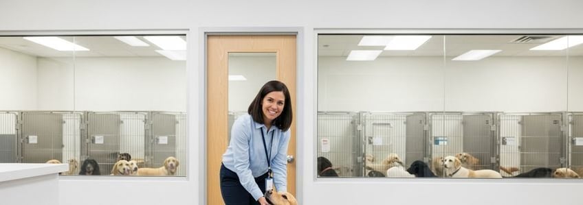 Dog Rescue Business Loans: The Complete Financing Guide for Dog Rescue Organizations