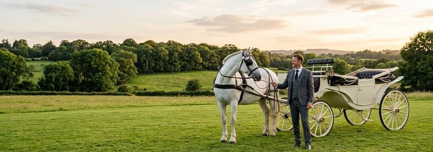 Horse Carriage Tour Business Financing: The Complete Guide for Business Owners