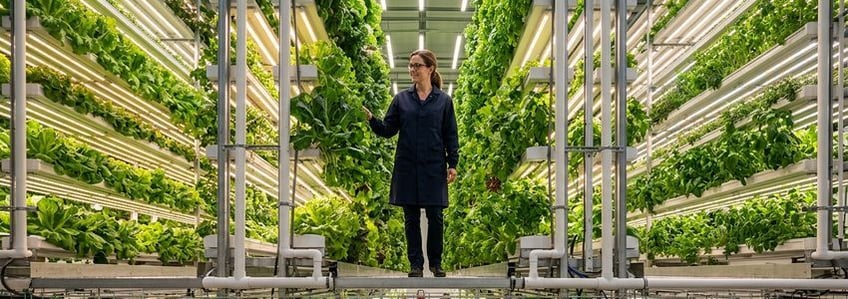 Commercial Hydroponic Farming Equipment Financing: The Complete Guide for Business Owners