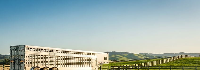 Livestock Trailer Financing: Complete Guide to Commercial Vehicle Loans