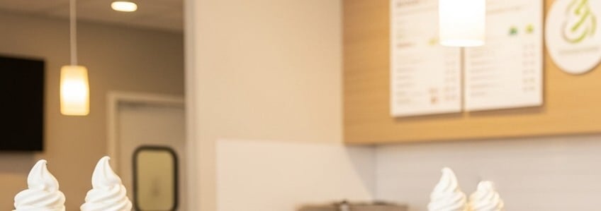 Pinkberry Franchise Loan: The Complete Financing Guide for Pinkberry Franchise Owners