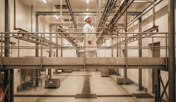 Worker in white frock and hard hat inspecting stainless steel overhead rail equipment inside a clean, modern USDA-inspected slaughter facility