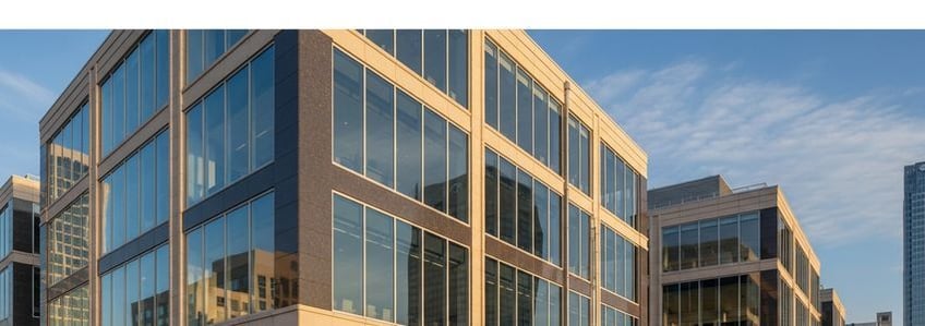 BlueVine Business Loan: Line of Credit and Term Loans
