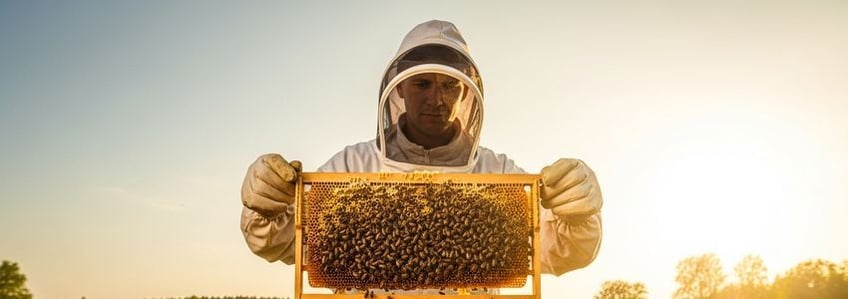 Honey Company Business Loans: Financing Guide for Honey Company Owners