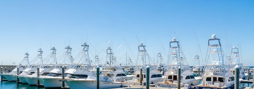 Boat charter business owner reviewing financing options at a commercial marina