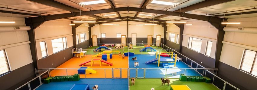 Camp Bow Wow Franchise Loan: The Complete Financing Guide for Camp Bow Wow Franchise Owners