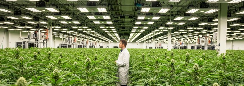 Cannabis Equipment Financing: The Complete Guide for Cannabis Business Owners