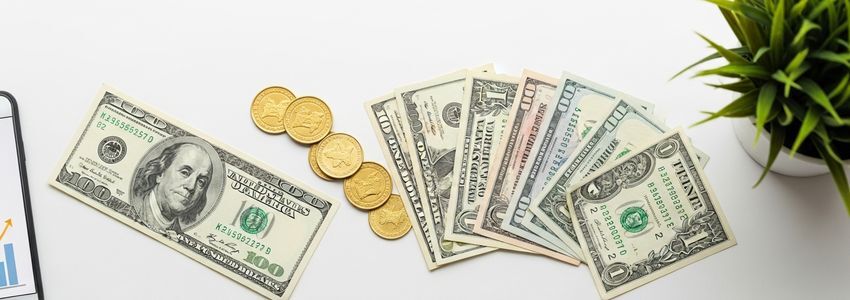 Small business owner planning a crowdfunding campaign with financial documents and coins