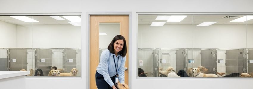Dog Rescue Business Loans: The Complete Financing Guide for Dog Rescue Organizations