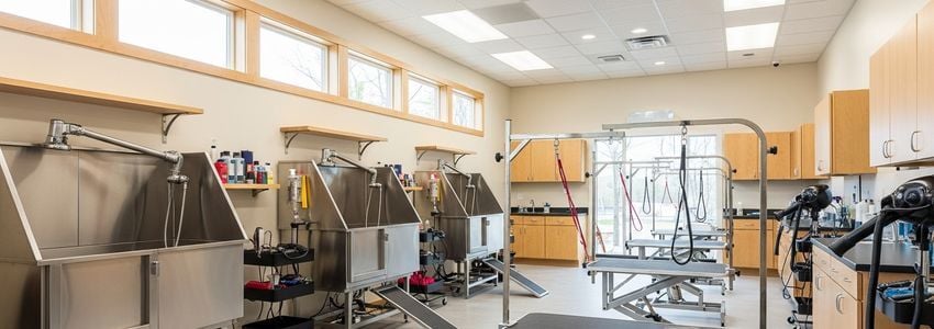 Professional dog wash business interior showing commercial wash stations and grooming equipment