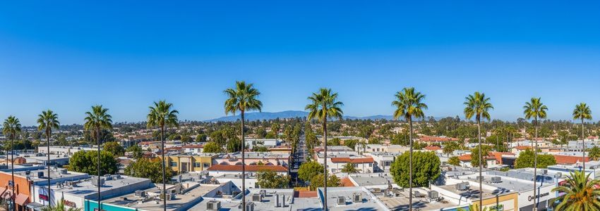Small business district in Downey, California showing commercial storefronts along a palm-tree lined street