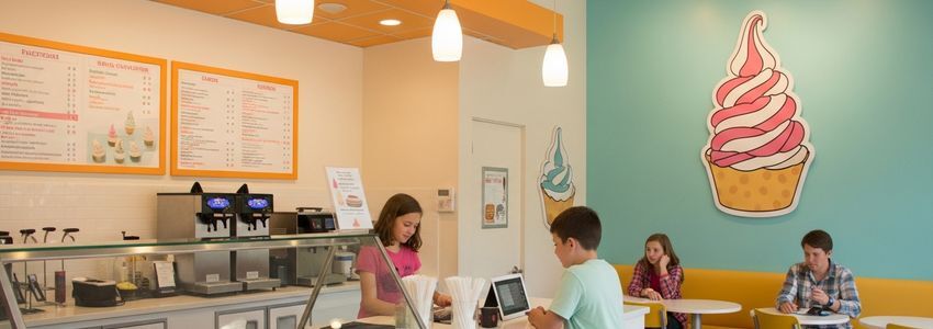Frozen Yogurt Business Loans: The Complete Financing Guide for Froyo Shop Owners