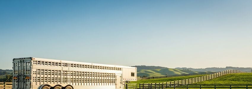 Livestock Trailer Financing: Complete Guide to Commercial Vehicle Loans