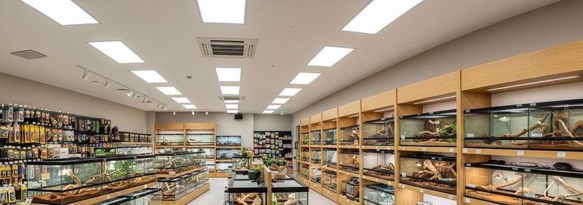 Reptile Store Business Loans: The Complete Financing Guide for Reptile Shop Owners