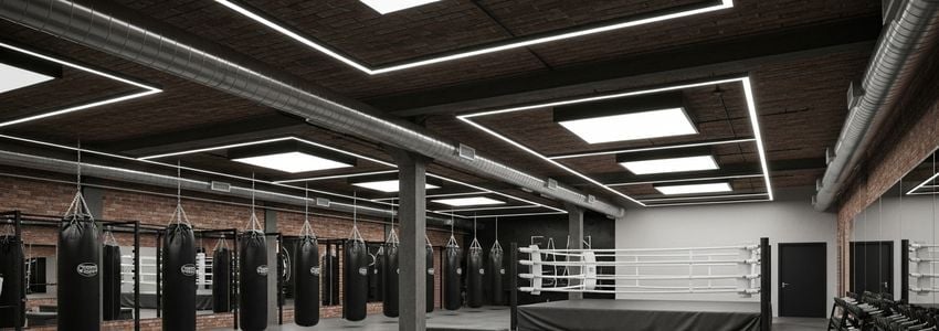 Rumble Boxing Franchise Loan: The Complete Financing Guide for Rumble Boxing Franchise Owners