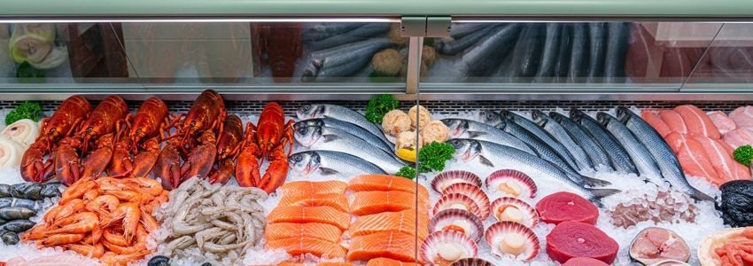 Seafood Market Business Loans: The Complete Financing Guide for Seafood Market Owners