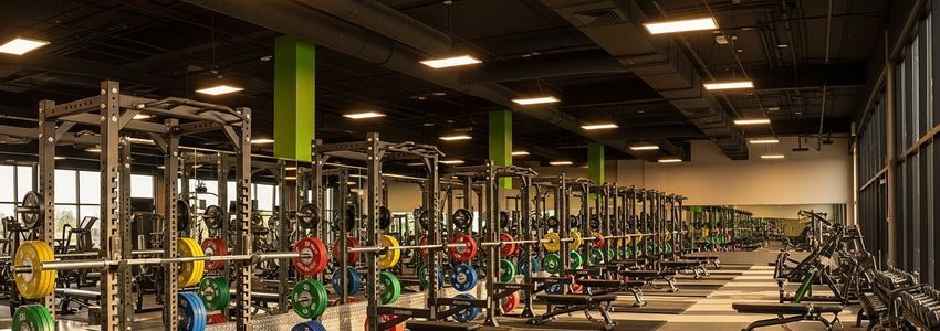 Leasing Strength Training Equipment: Racks, Benches, and Machines