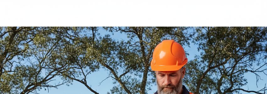 Tree service business owner reviewing financing options