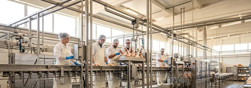 Poultry Processing Equipment Financing: The Complete Guide for Business Owners
