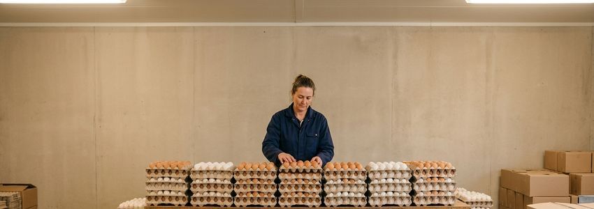 Poultry farm worker inspecting egg grading and washing equipment inside a commercial egg production facility
