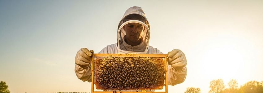 Honey Company Business Loans: Financing Guide for Honey Company Owners