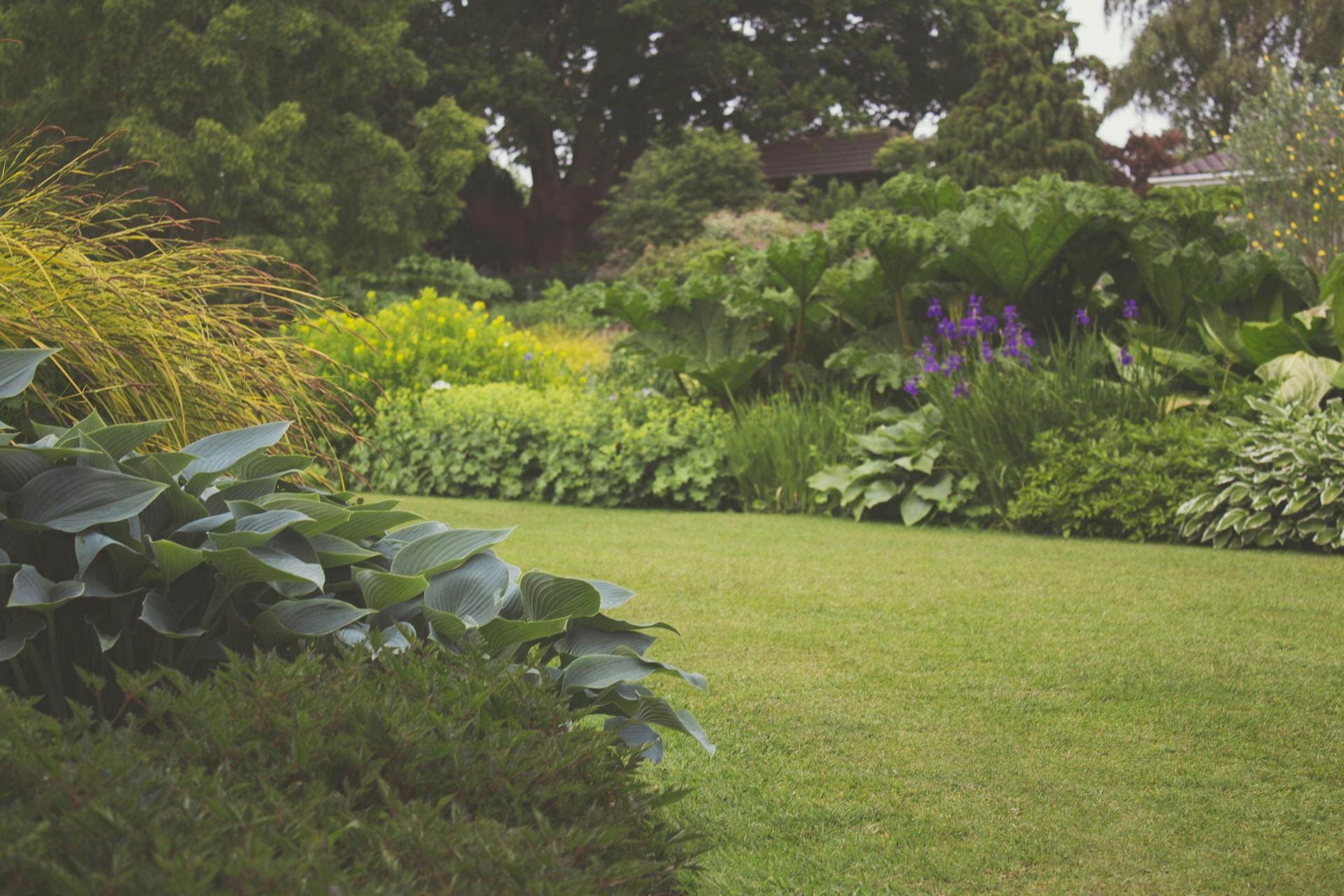 How Business Loans Cultivate Success for Lawn Care Service Companies