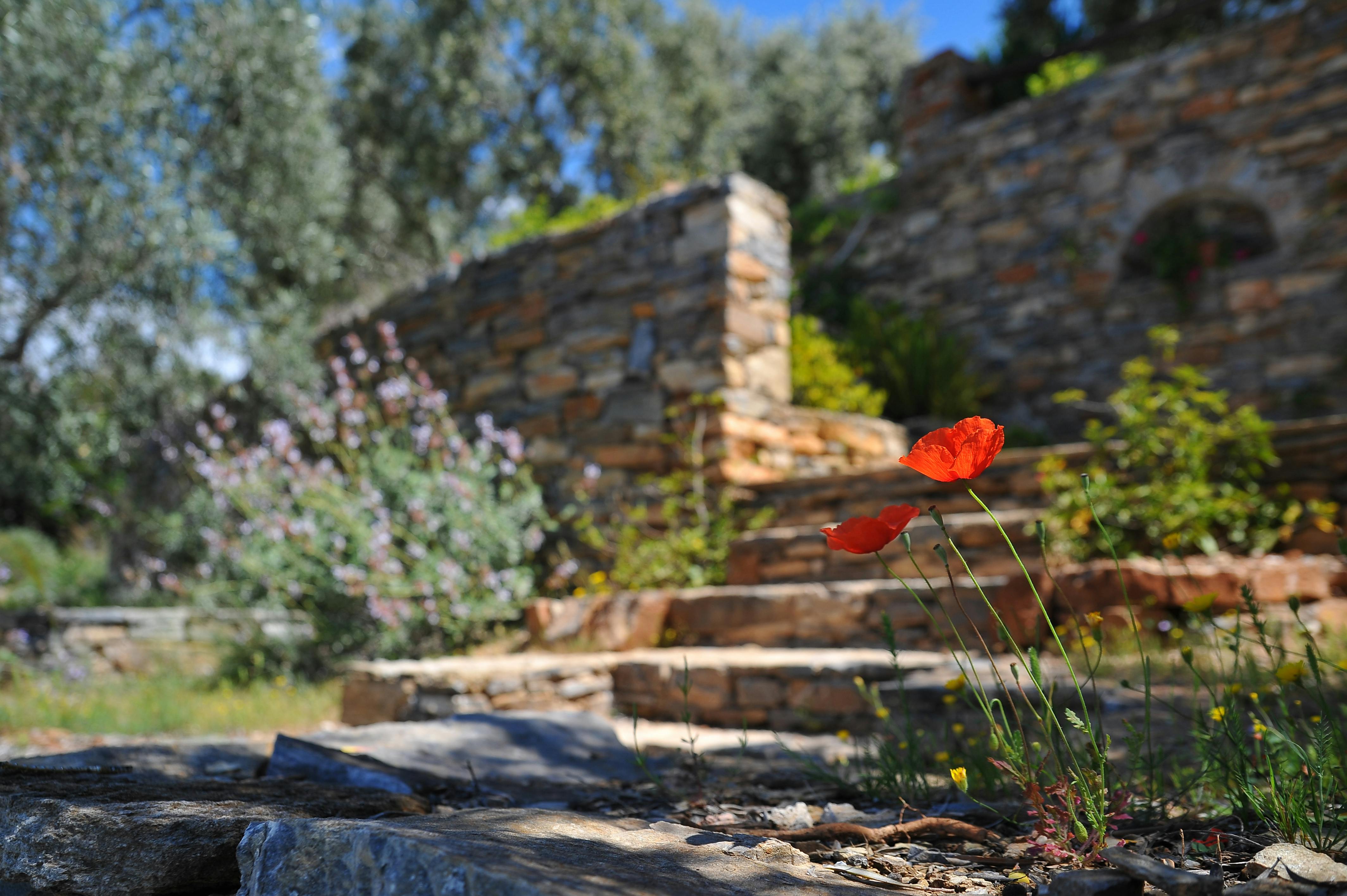 Growing Your Landscape Service Company with Smart Business Loans