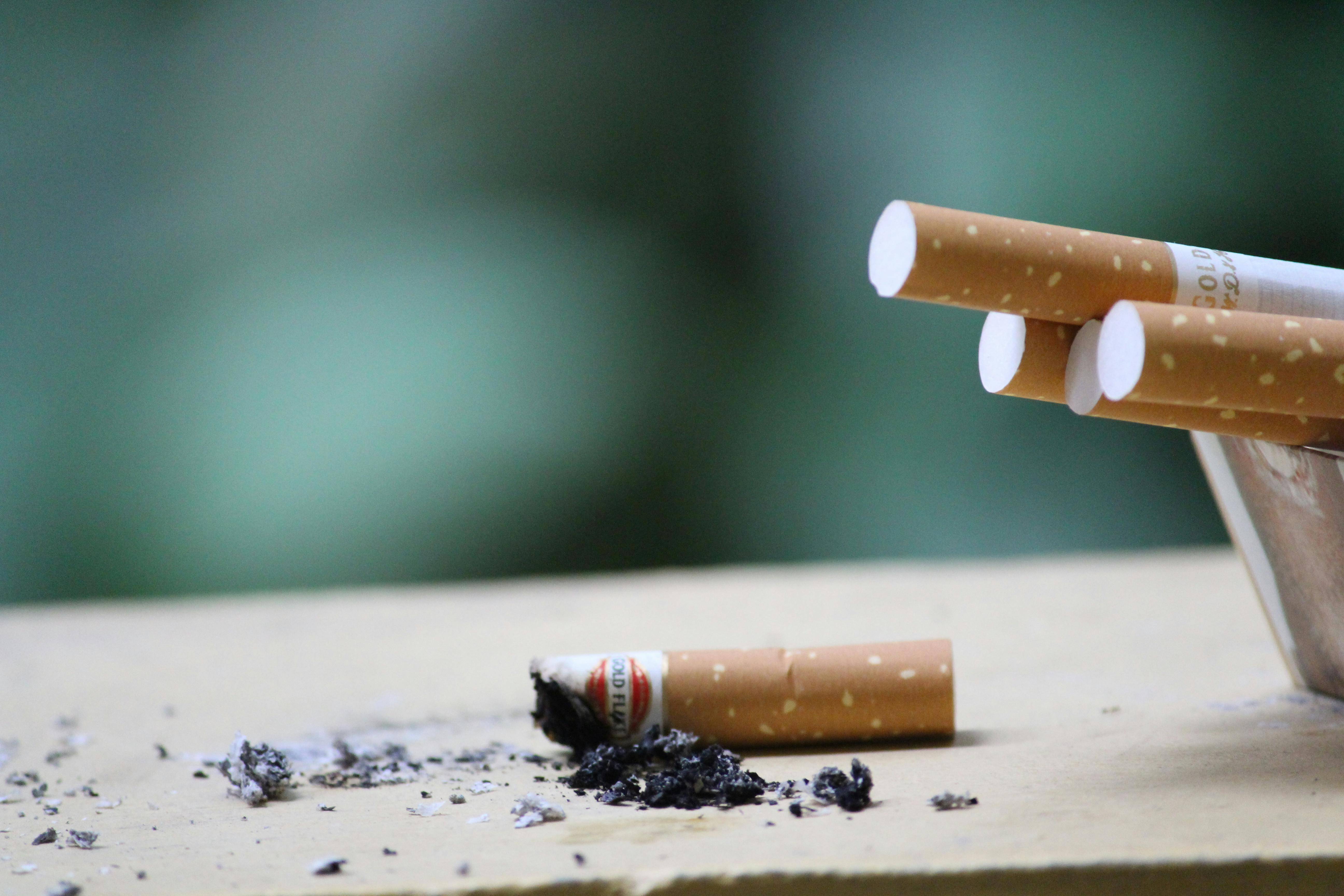 Funding Options for Tobacco Product Manufacturing Companies